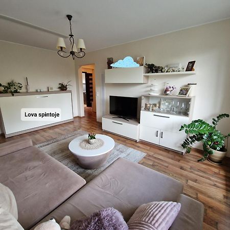 Apartament Siaure Kowno Zewnętrze zdjęcie